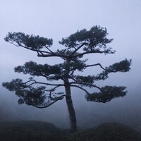 Jardinier, Chef jardinier