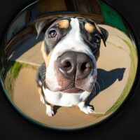 Gardien, Homme toutes mains