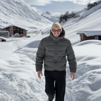 Chauffeur, Majordome