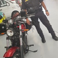 Security agent, Chef jardinier