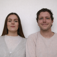 Domestic couple, Household couple