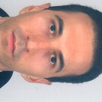 Assistante personnelle, Chauffeur